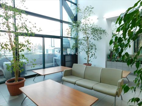 Lokal użytkowy na wynajem Józefosław 45m2 Foto 5