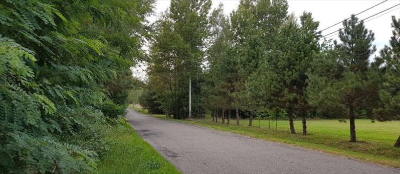 Działka rekreacyjna na sprzedaż Ojrzanów, Tarczyńska 1 000m2 Foto 3