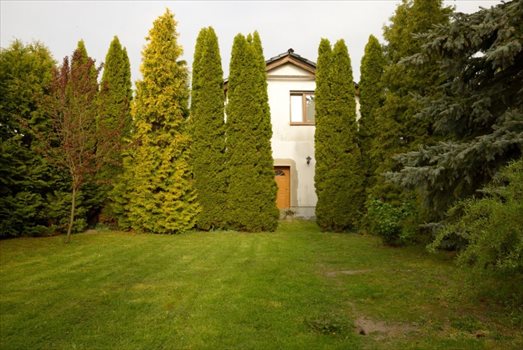 Dom na sprzedaż Tarnowo Podgórne, 23 Października 333m2 Foto 3