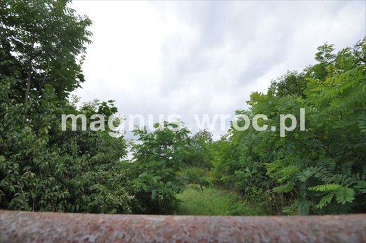 Działka budowlana na sprzedaż Domanice 5 100m2 Foto 7