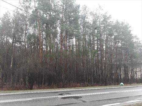 Działka budowlana na sprzedaż Józefów 2 145m2 Foto 3