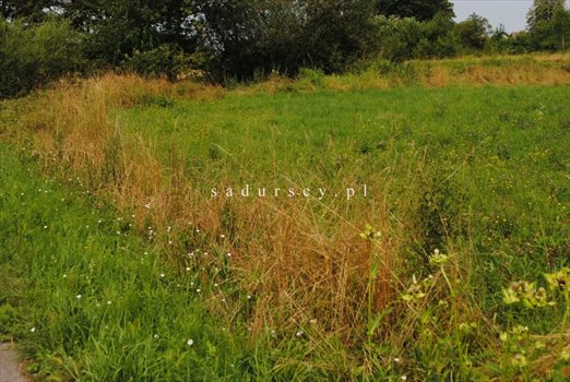 Działka budowlana na sprzedaż Nieszkowice Małe 1 205m2 Foto 3