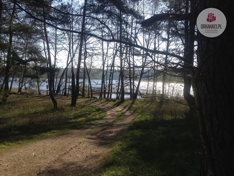 Działka rekreacyjna na sprzedaż Ząbie, Ząbie 2 981m2 Foto 8
