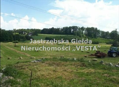 Działka inna na sprzedaż Jastrzębie-Zdrój, Cisówka 4 290m2 Foto 1