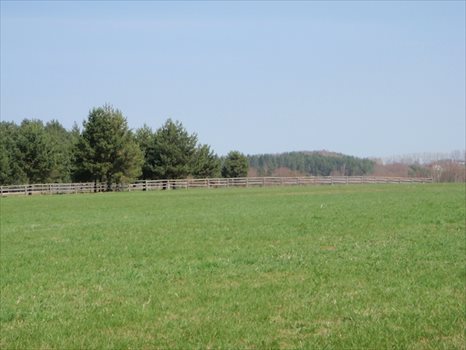 Działka budowlana na sprzedaż Dąbrówka, Leśna 1 583m2 Foto 4