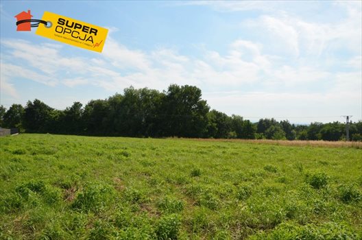 Działka budowlana na sprzedaż Zabierzów, Balice, Akacjowa 1 200m2 Foto 4