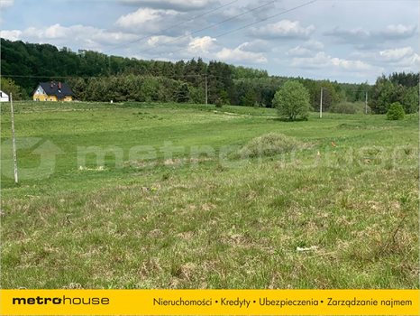 Działka inna na sprzedaż Trzepowo, Przywidz 2 048m2 Foto 2
