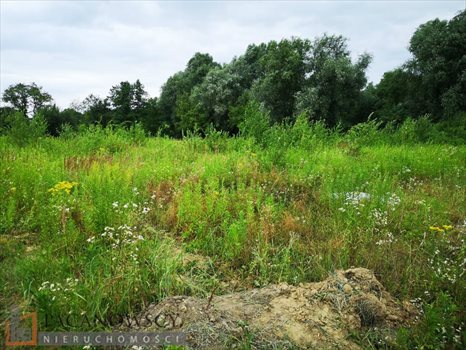 Działka budowlana na sprzedaż Węgrzce 1 192m2 Foto 4