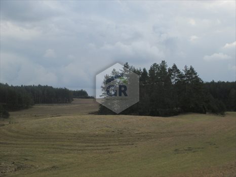 Działka rolna na sprzedaż Gołubie 114 900m2 Foto 5