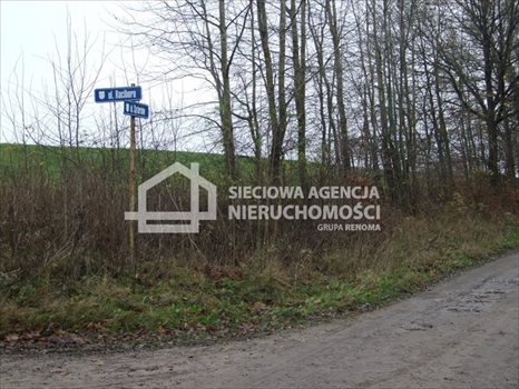 Działka rolna na sprzedaż Trzepowo 40 200m2 Foto 2