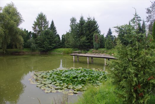 Działka budowlana na sprzedaż Wola Pniewska 6 200m2 Foto 12