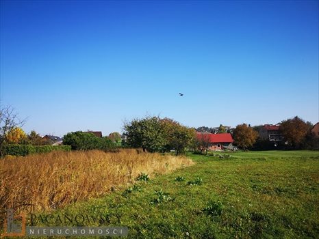 Działka budowlana na sprzedaż Zielonki 1 824m2 Foto 3