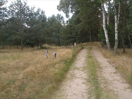 Działka budowlana na sprzedaż Wierzchosław 3 188m2 Foto 4