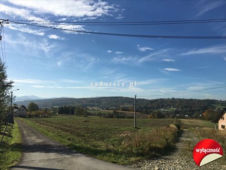 Działka budowlana na sprzedaż Dobranowice 4 500m2 Foto 2