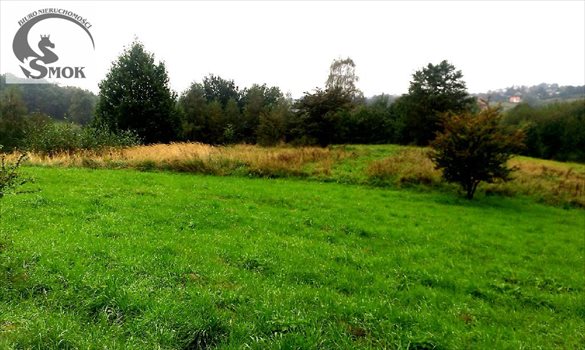 Działka budowlana na sprzedaż Gaj 1 000m2 Foto 3