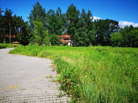 Działka budowlana na sprzedaż Marki, Struga, Zielona 10C 2 507m2 Foto 6