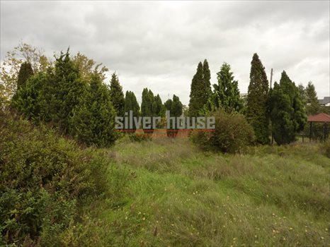 Działka inwestycyjna na sprzedaż Stare Babice 2 000m2 Foto 1