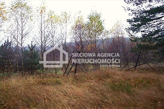 Działka leśna na sprzedaż Skwierawy 64 900m2 Foto 12