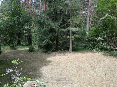 Dom na sprzedaż Deskurów 80m2 Foto 2