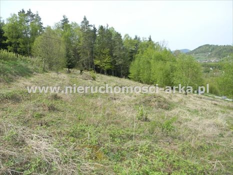 Działka budowlana na sprzedaż Limanowa 3 676m2 Foto 1