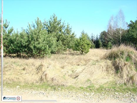 Działka budowlana na sprzedaż Laskowo 1 038m2 Foto 3