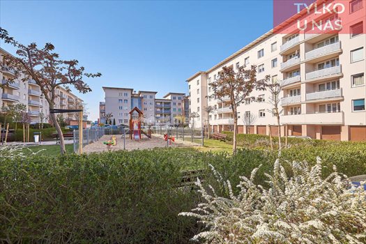 Mieszkanie dwupokojowe na sprzedaż Poznań, Teofila Mateckiego 63m2 Foto 4