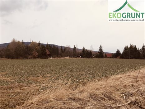 Działka budowlana na sprzedaż Sulistrowice, Nowa 1 050m2 Foto 1