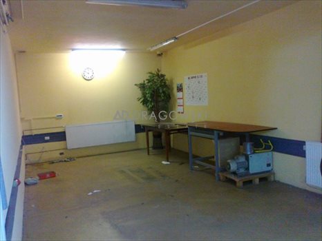 Lokal użytkowy na sprzedaż Kazuń Nowy 570m2 Foto 5