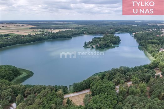 Działka budowlana na sprzedaż Lubonieczek 8 577m2 Foto 5