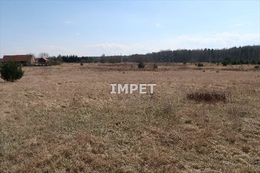 Działka inna na sprzedaż Czerwona Woda 59 300m2 Foto 4