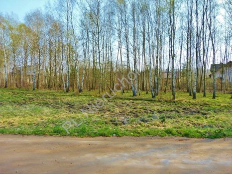 Działka budowlana na sprzedaż Otwock, Wólka Mlądzka 726m2 Foto 3