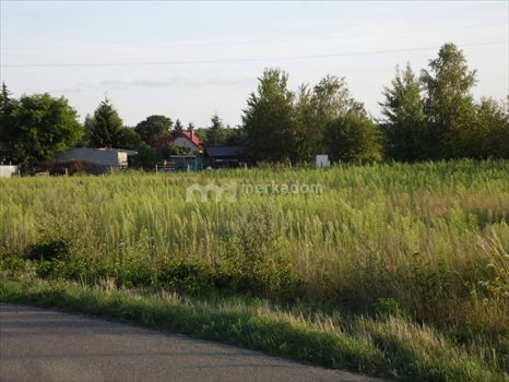 Działka inna na sprzedaż Dąbrówka Leśna 6 899m2 Foto 2