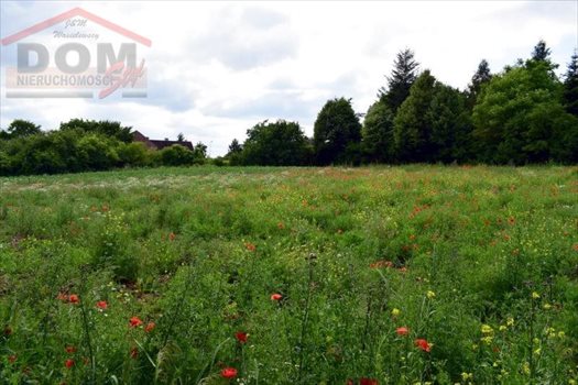 Działka budowlana na sprzedaż Gudowo, Jezioro, Las, Przystanek autobusowy, Rzeka, Tereny 5 050m2 Foto 11