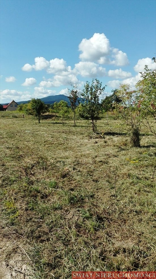 Działka budowlana na sprzedaż Rogów Sobócki, Szkolna 1 383m2 Foto 4
