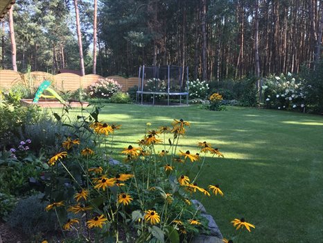 Dom na sprzedaż Adamów-Wieś, Olszowa 180m2 Foto 4