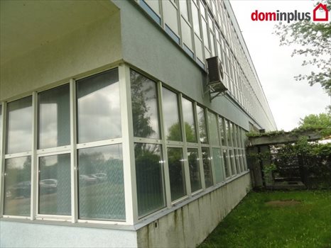 Lokal użytkowy na sprzedaż Toruń 5 600m2 Foto 6