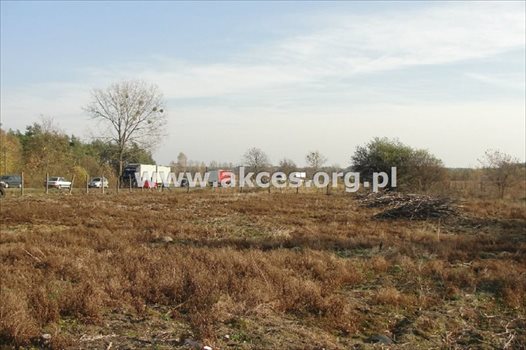 Działka budowlana na sprzedaż Chudolipie 32 600m2 Foto 3