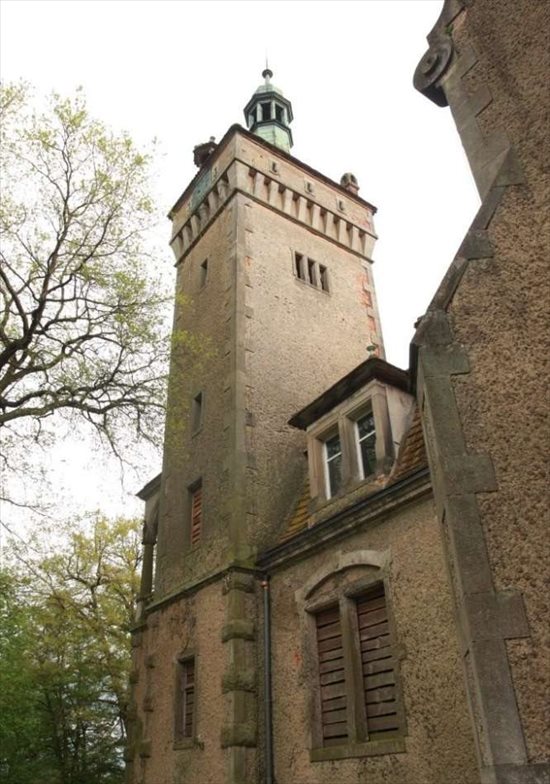 Dom na sprzedaż Stołeczna 765m2 Foto 4