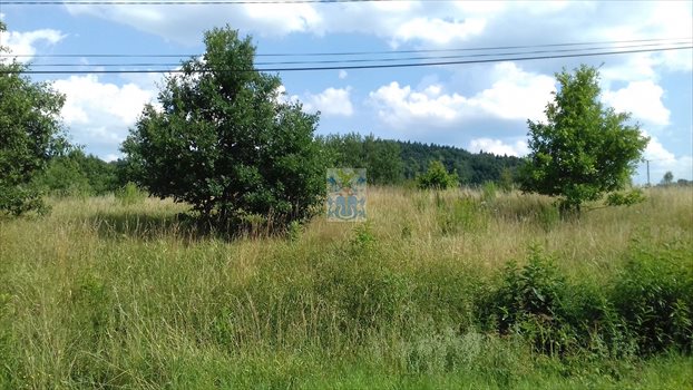 Działka budowlana na sprzedaż Krzywaczka 1 600m2 Foto 6