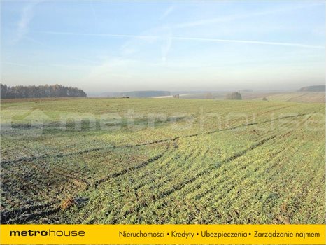 Działka inna na sprzedaż Golęczewo, Suchy Las 1 196m2 Foto 2