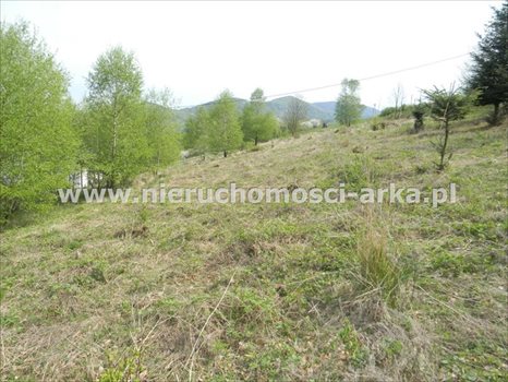 Działka budowlana na sprzedaż Limanowa 3 676m2 Foto 5