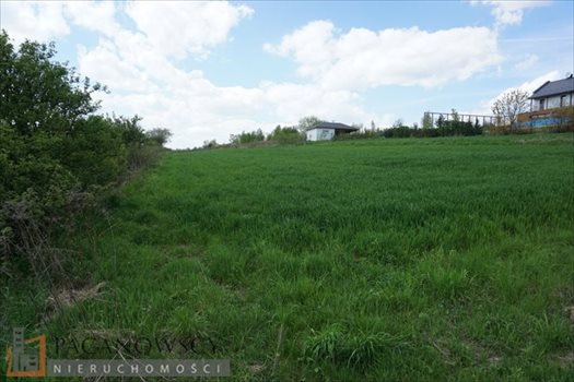 Działka budowlana na sprzedaż Cianowice Duże 2 990m2 Foto 7
