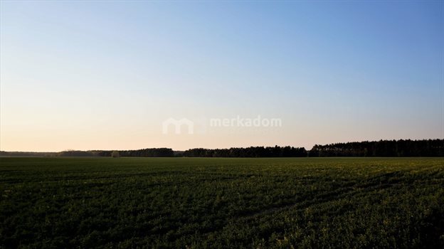 Działka rolna na sprzedaż Łosiniec 188 901m2 Foto 4