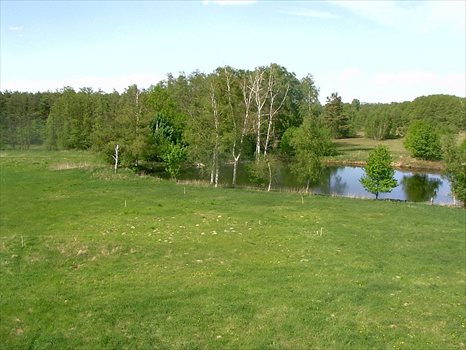 Działka inna na sprzedaż Sierakowo 6 546m2 Foto 4