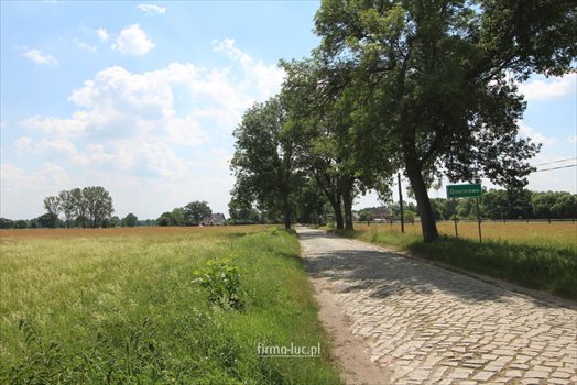 Działka budowlana na sprzedaż Gościnowo 1 688m2 Foto 3