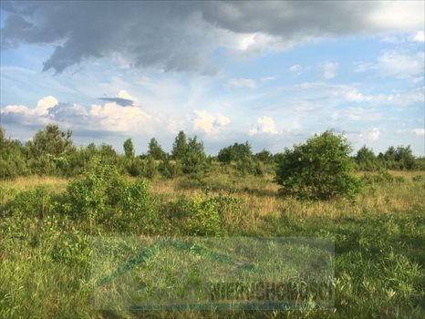 Działka budowlana na sprzedaż Dosin, działka budowlana do zabudowy jednorodzinnej i usług nieucią 900m2 Foto 5