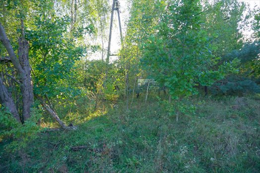 Działka komercyjna na sprzedaż Radziejowice-Parcel 3 900m2 Foto 8