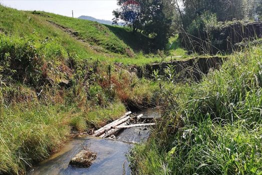 Działka rolna na sprzedaż Pewel Wielka 600m2 Foto 8