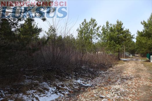 Działka budowlana na sprzedaż Łoś, Łoś 1 000m2 Foto 5