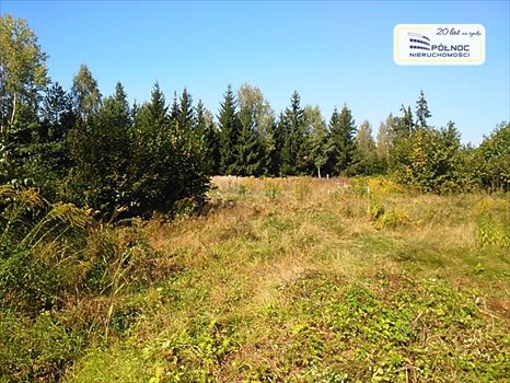 Działka budowlana na sprzedaż Niewodnica Kościelna 1 294m2 Foto 2